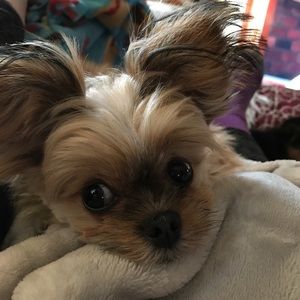 Meet your Posher, Thelma